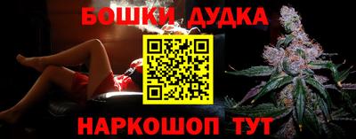 крисы Моздок
