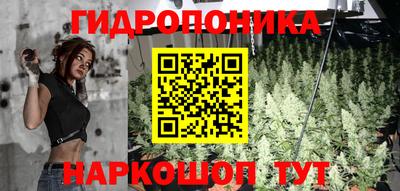 прущая мука Можга