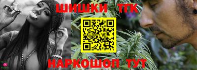 крисы Моздок