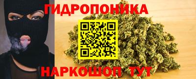 крисы Моздок