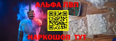 крисы Моздок