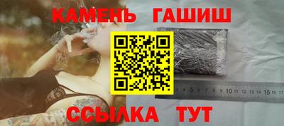 крисы Моздок
